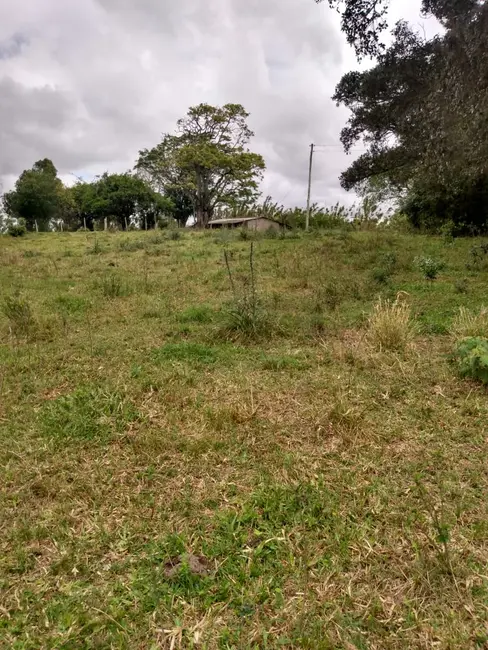 Foto 4 de Chácara com 2 quartos à venda, 90000m2 em Sentinela Do Sul - RS