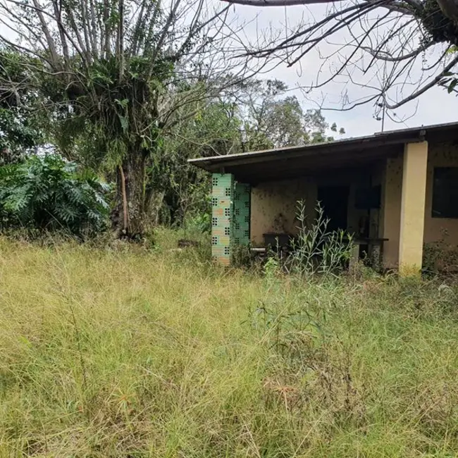 Foto 9 de Chácara com 2 quartos à venda, 90000m2 em Sentinela Do Sul - RS