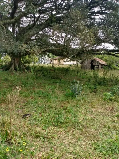 Foto 8 de Chácara com 2 quartos à venda, 90000m2 em Sentinela Do Sul - RS