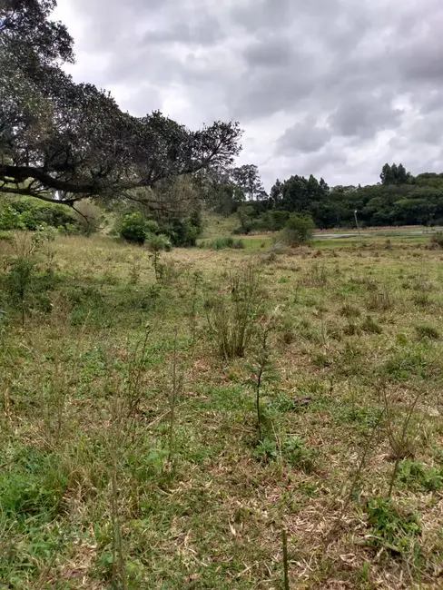 Foto 3 de Chácara com 2 quartos à venda, 90000m2 em Sentinela Do Sul - RS