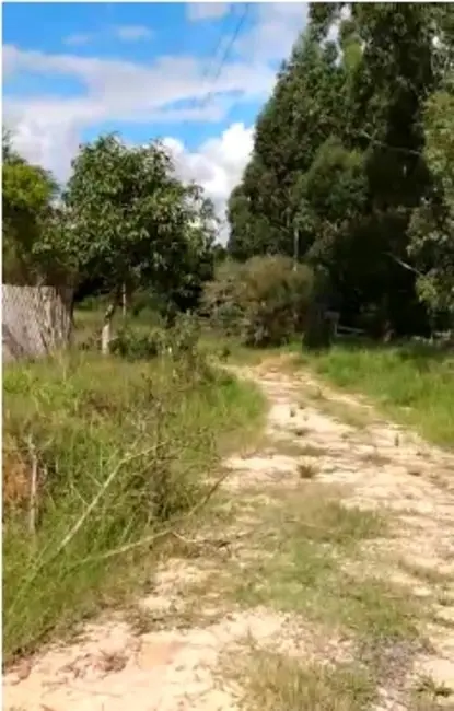 Foto 7 de Chácara com 2 quartos à venda, 90000m2 em Sentinela Do Sul - RS