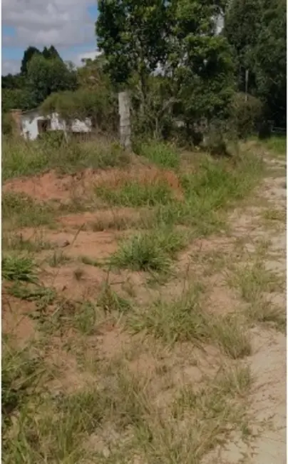 Foto 6 de Chácara com 2 quartos à venda, 90000m2 em Sentinela Do Sul - RS
