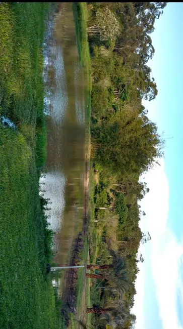 Foto 3 de Chácara com 2 quartos à venda, 58000m2 em Viamao - RS