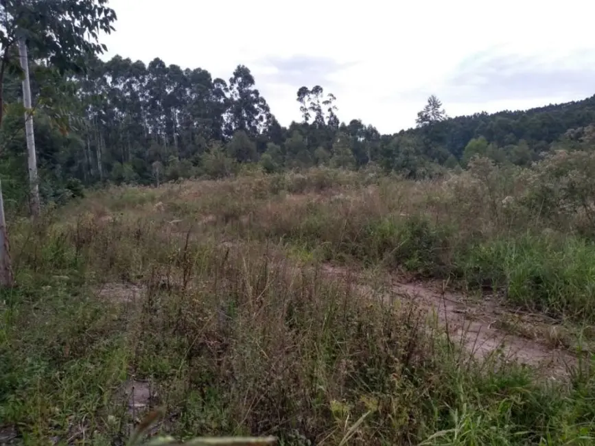 Foto 2 de Terreno / Lote à venda, 300000m2 em Sertao Santana - RS