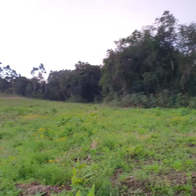Foto 1 de Terreno / Lote à venda, 300000m2 em Sertao Santana - RS