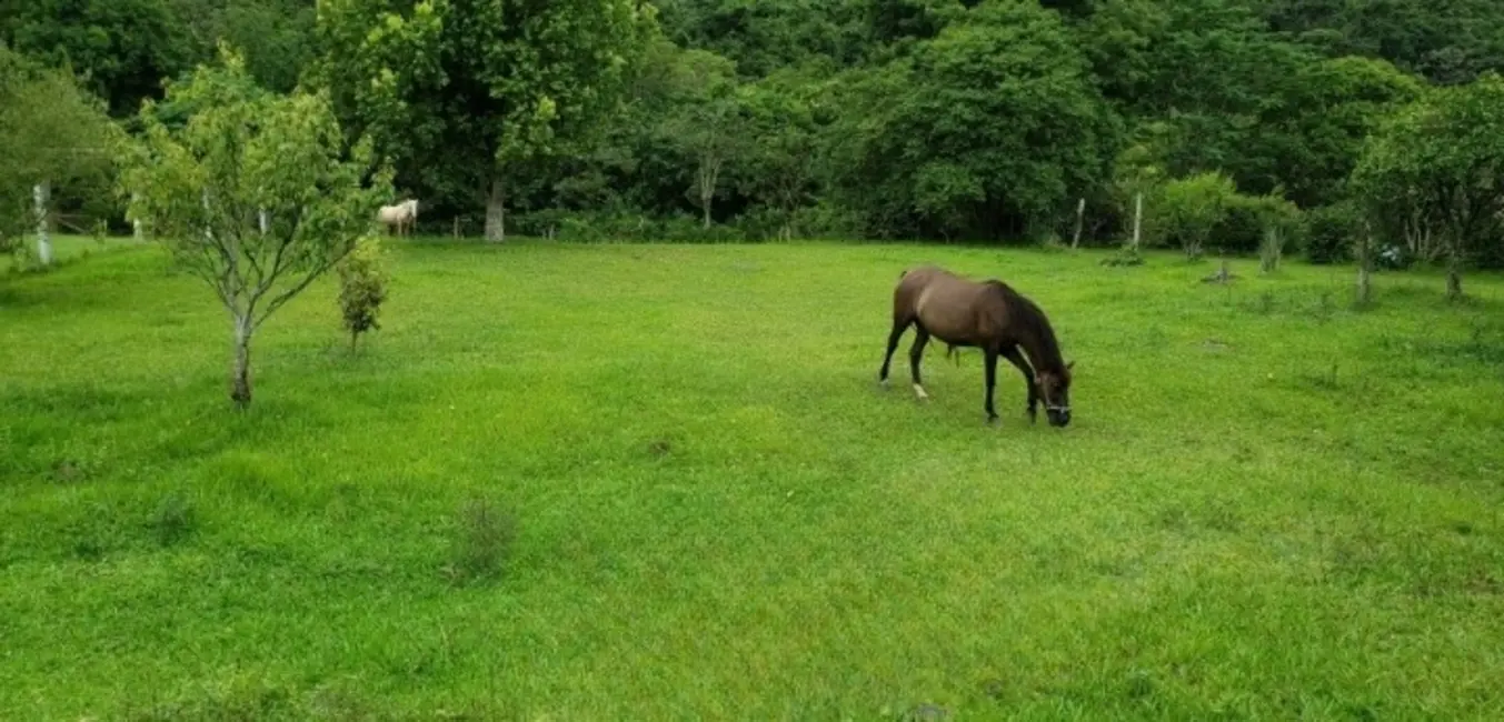 Foto 1 de Chácara com 2 quartos à venda, 110m2 em Tres Forquilhas - RS