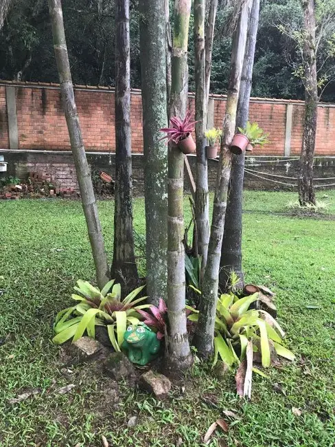 Foto 9 de Chácara com 2 quartos à venda, 11360m2 em Lami, Porto Alegre - RS