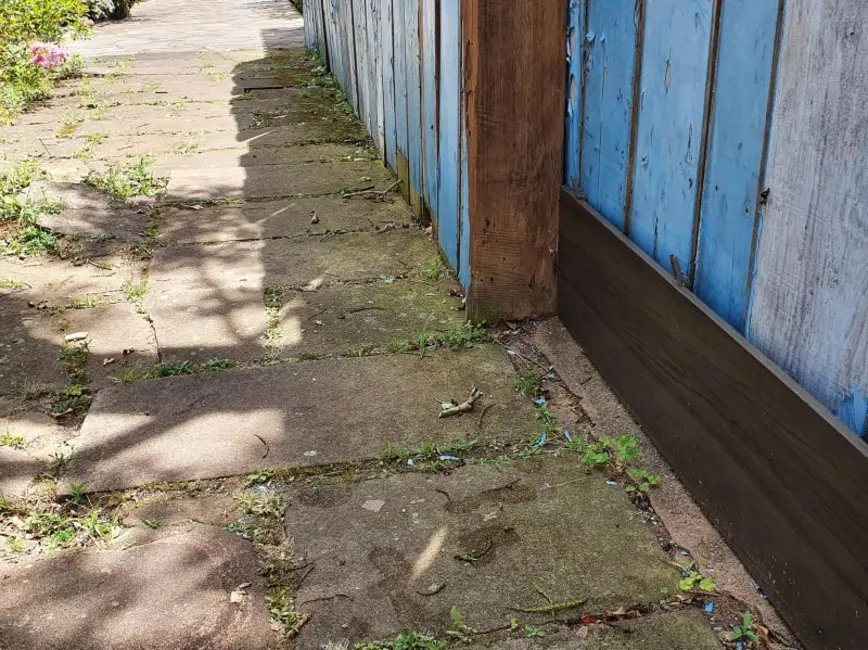 Foto 7 de Terreno / Lote à venda, 300m2 em Vila Ipiranga, Porto Alegre - RS