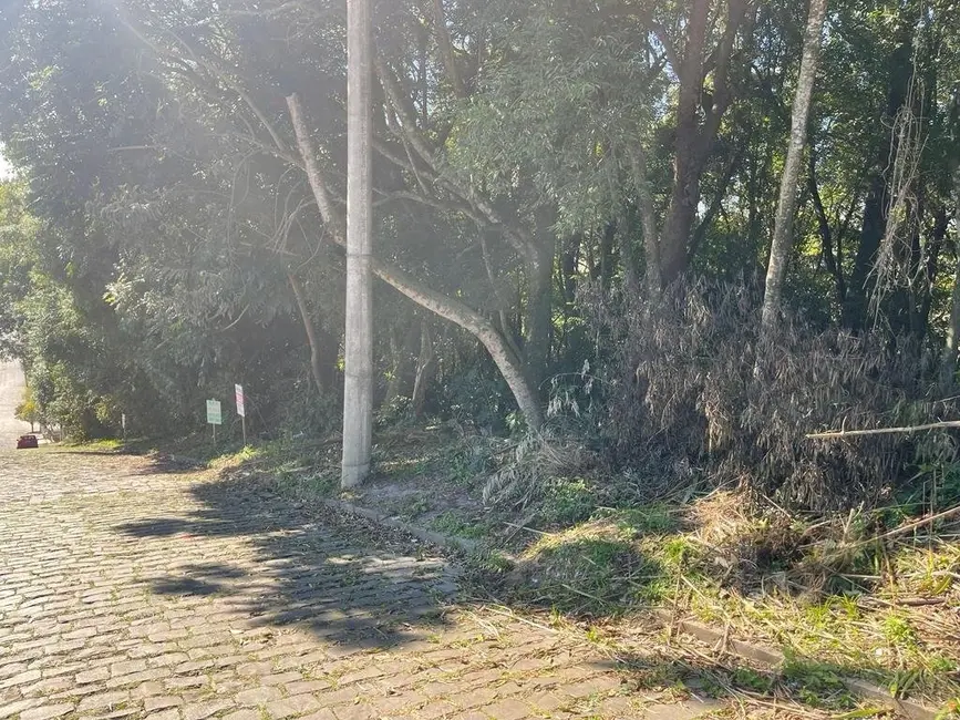 Terreno / Lote à venda, 360m2 em Santa Catarina, Caxias Do Sul - RS - imagem 3 Foto 3 de Terreno / Lote à venda, 360m2 em Santa Catarina, Caxias Do Sul - RS