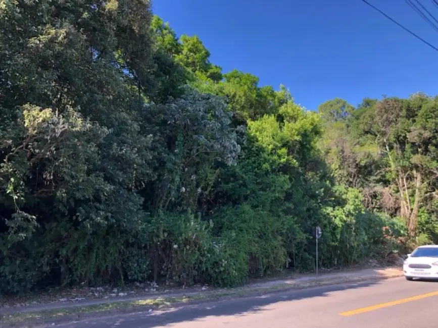 Foto 2 de Terreno / Lote à venda, 46000m2 em Vila Nova, Porto Alegre - RS