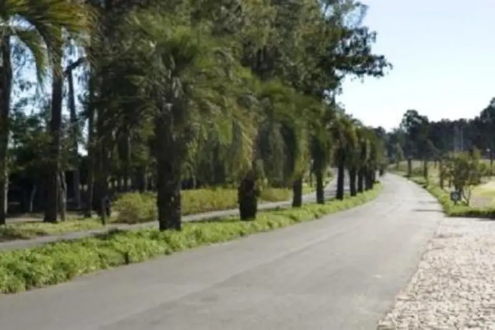 Foto 6 de Terreno / Lote à venda, 597m2 em Belém Novo, Porto Alegre - RS