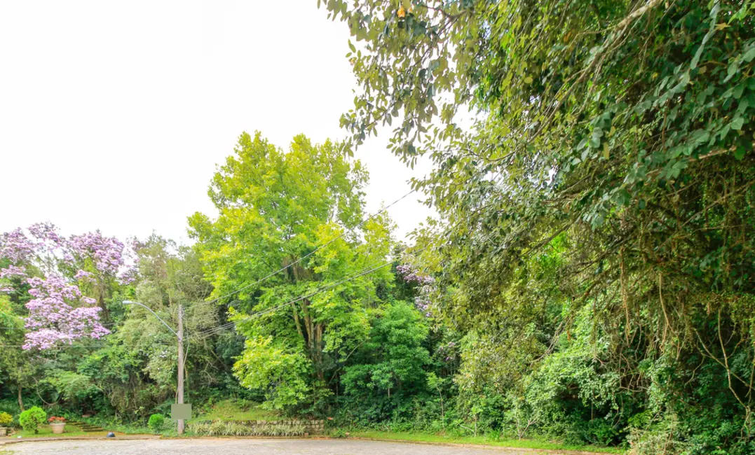 Foto 3 de Terreno / Lote à venda, 2451m2 em Jardim Isabel, Porto Alegre - RS