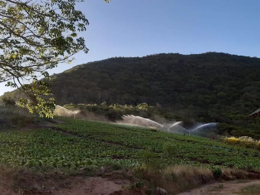 Foto 3 de Chácara com 2 quartos à venda, 320000m2 em Centro, Mariana Pimentel - RS
