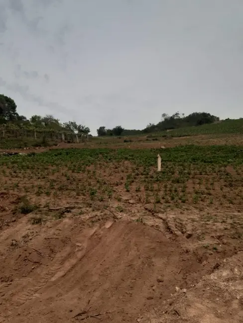 Foto 7 de Chácara com 2 quartos à venda, 320000m2 em Centro, Mariana Pimentel - RS