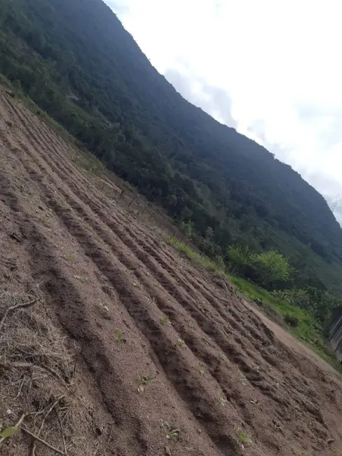 Foto 9 de Chácara com 2 quartos à venda, 320000m2 em Centro, Mariana Pimentel - RS