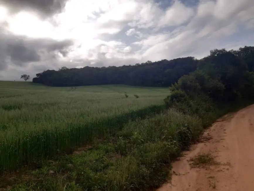 Foto 8 de Chácara com 2 quartos à venda, 320000m2 em Centro, Mariana Pimentel - RS