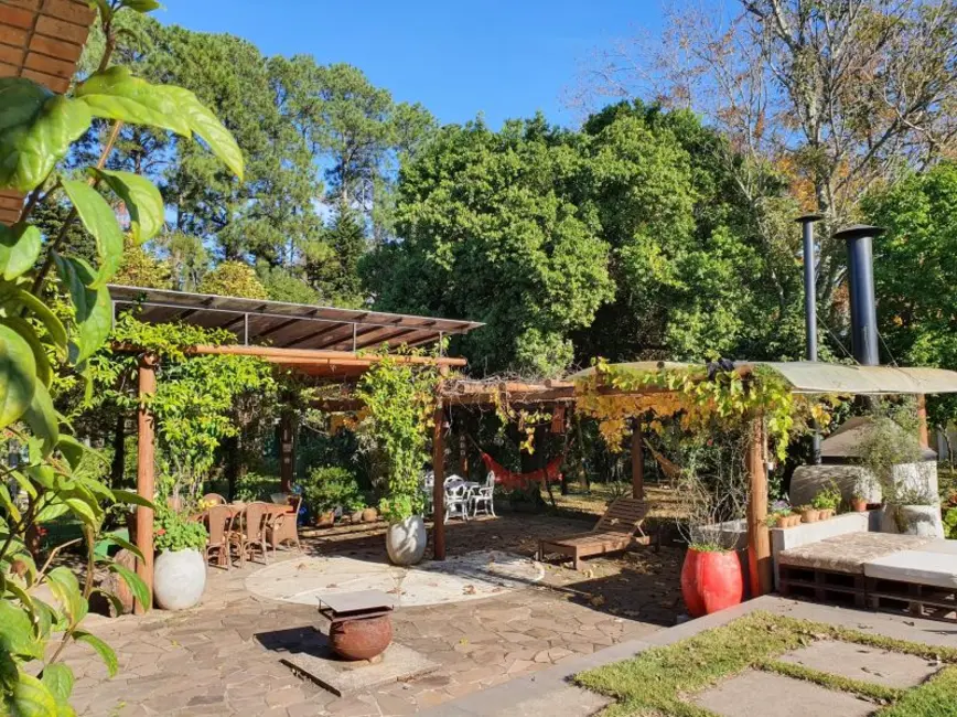 Foto 6 de Chácara com 2 quartos à venda, 5000m2 em Belém Velho, Porto Alegre - RS