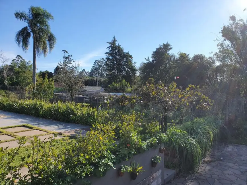 Foto 4 de Chácara com 2 quartos à venda, 5000m2 em Belém Velho, Porto Alegre - RS