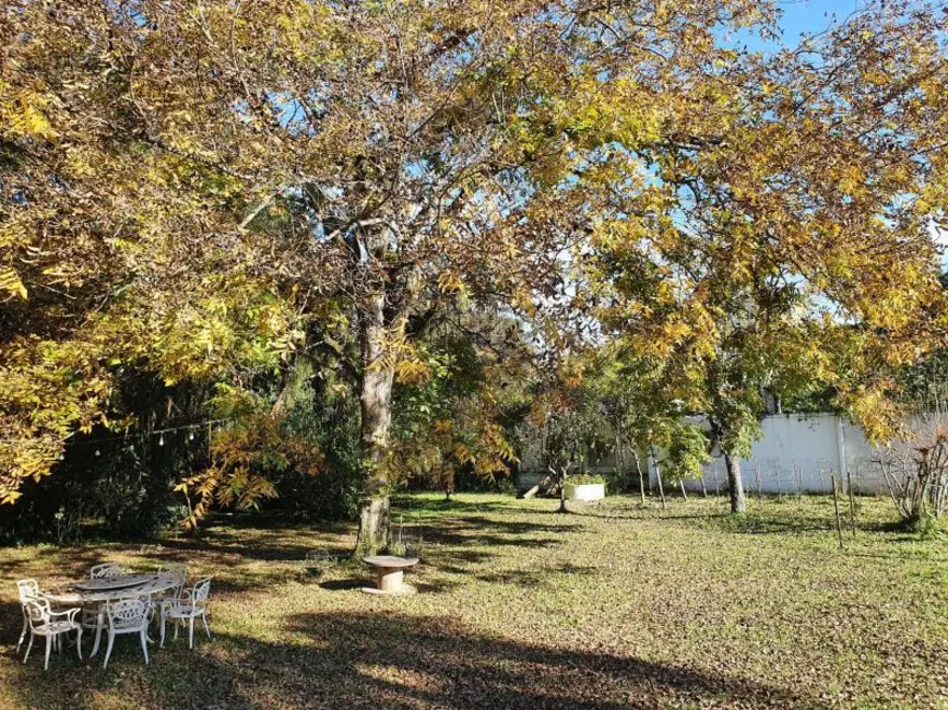 Foto 9 de Chácara com 2 quartos à venda, 5000m2 em Belém Velho, Porto Alegre - RS