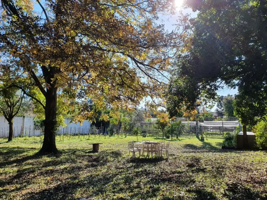 Foto 8 de Chácara com 2 quartos à venda, 5000m2 em Belém Velho, Porto Alegre - RS