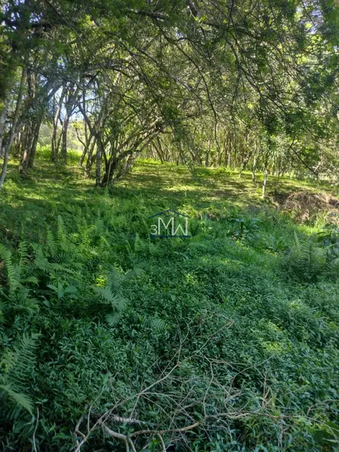 Foto 4 de Terreno / Lote à venda, 4400m2 em São Gabriel, Colombo - PR