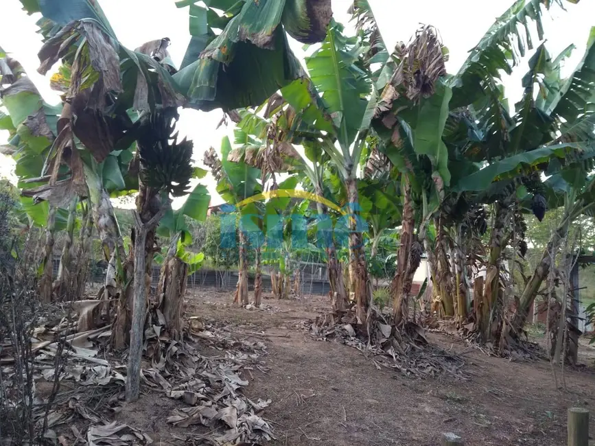 Foto 8 de Fazenda / Haras à venda em Chácara Santa Margarida, Campinas - SP