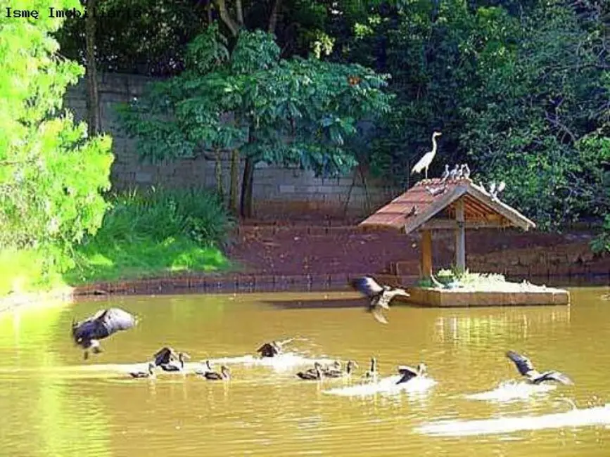 Foto 7 de Terreno / Lote à venda, 1228m2 em Barão Geraldo, Campinas - SP