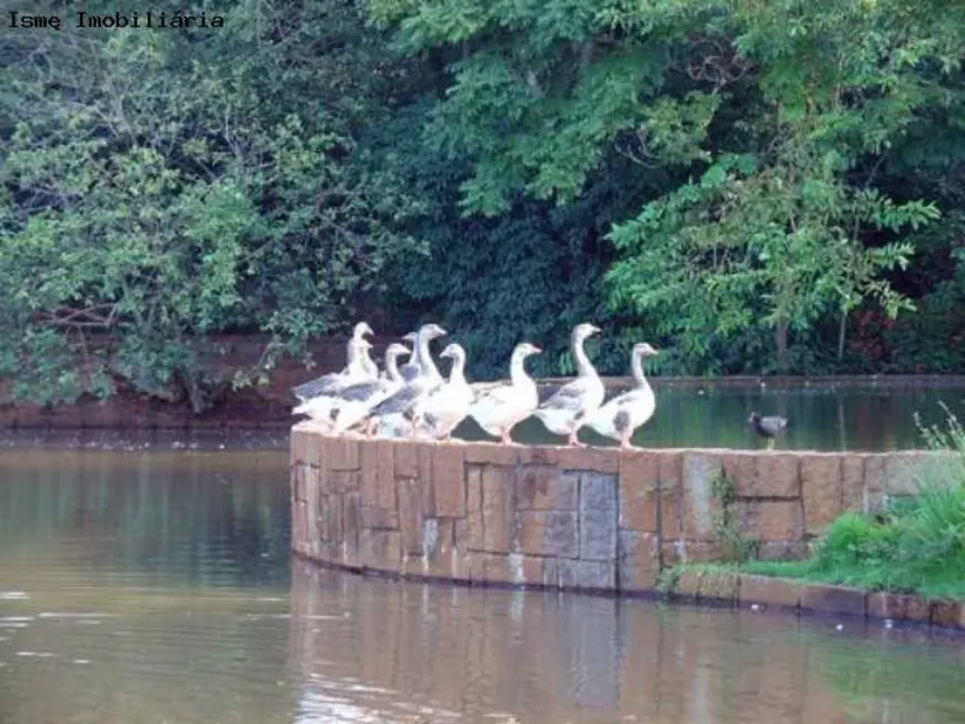 Foto 3 de Terreno / Lote à venda, 1228m2 em Barão Geraldo, Campinas - SP