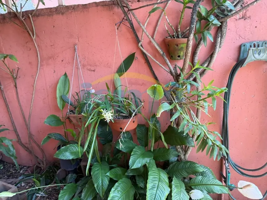 Foto 2 de Casa de Condomínio com 3 quartos à venda, 150m2 em Jardim do Sol, Campinas - SP