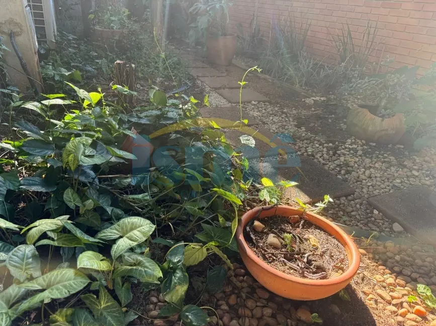 Casa com 5 quartos para alugar, 400m2 em Campinas - SP - imagem 9 Foto 9 de Casa com 5 quartos para alugar, 400m2 em Campinas - SP