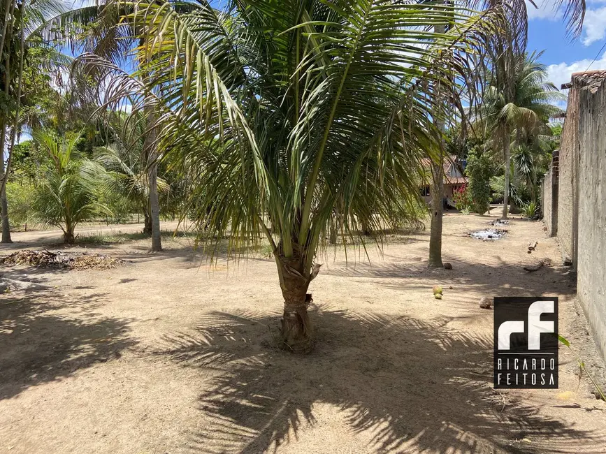 Foto 4 de Terreno / Lote à venda, 6291m2 em Canafístula, Arapiraca - AL