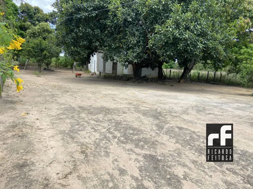 Foto 9 de Terreno / Lote à venda, 6291m2 em Canafístula, Arapiraca - AL