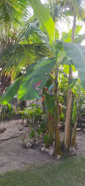 Terreno / Lote à venda, 525m2 em Porto Seguro - BA - imagem 4 Foto 4 de Terreno / Lote à venda, 525m2 em Porto Seguro - BA