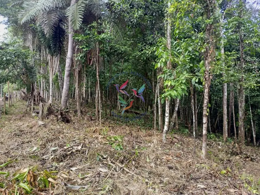 Foto 9 de Terreno / Lote à venda, 12000m2 em Porto Seguro - BA