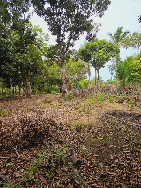 Foto 7 de Terreno / Lote à venda, 1500m2 em Porto Seguro - BA