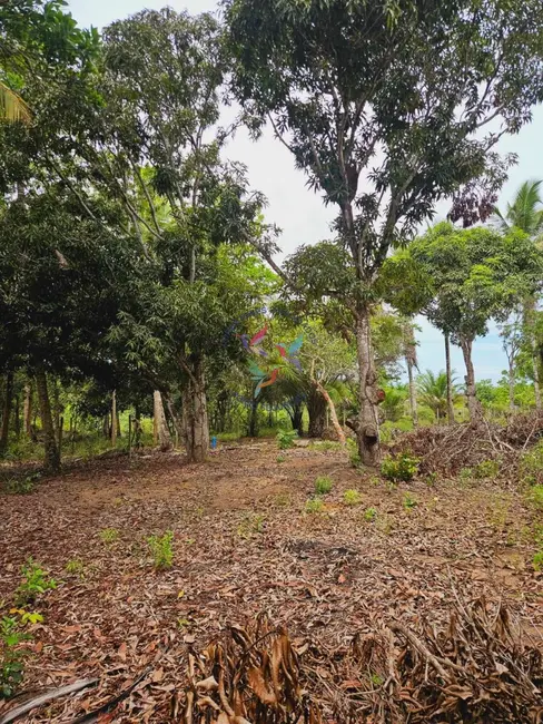 Foto 5 de Terreno / Lote à venda, 1500m2 em Porto Seguro - BA