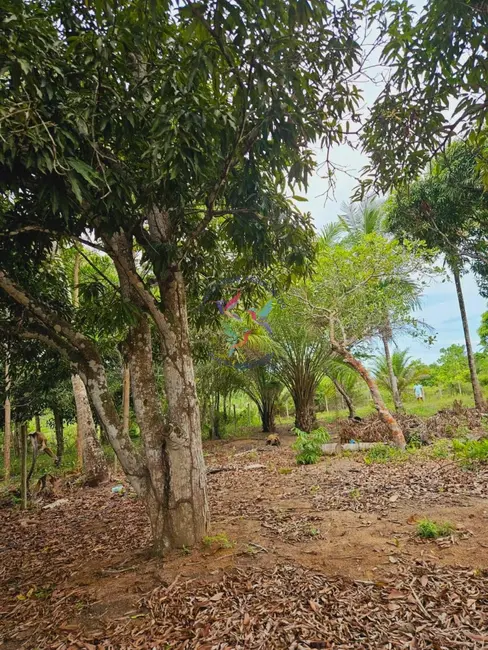 Foto 4 de Terreno / Lote à venda, 1500m2 em Porto Seguro - BA