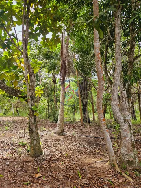 Foto 9 de Terreno / Lote à venda, 1500m2 em Porto Seguro - BA