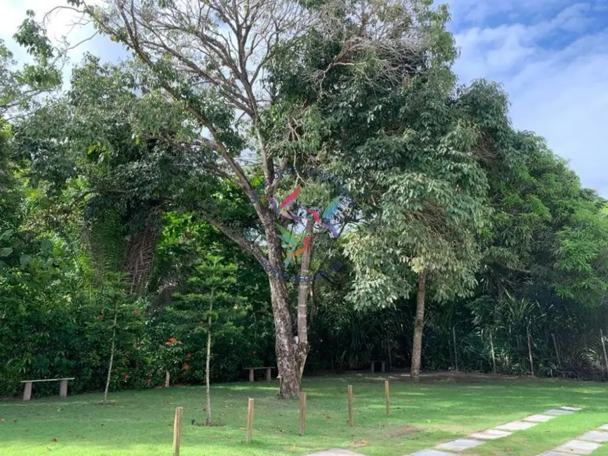 Foto 8 de Casa com 3 quartos à venda, 120m2 em Porto Seguro - BA