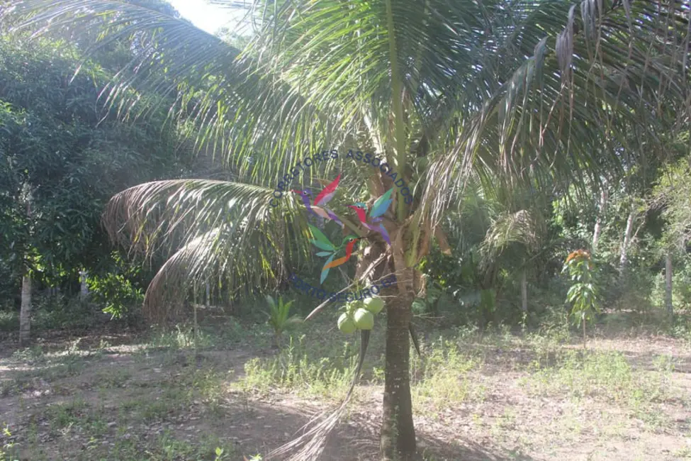 Foto 8 de Terreno / Lote à venda, 8032m2 em Porto Seguro - BA