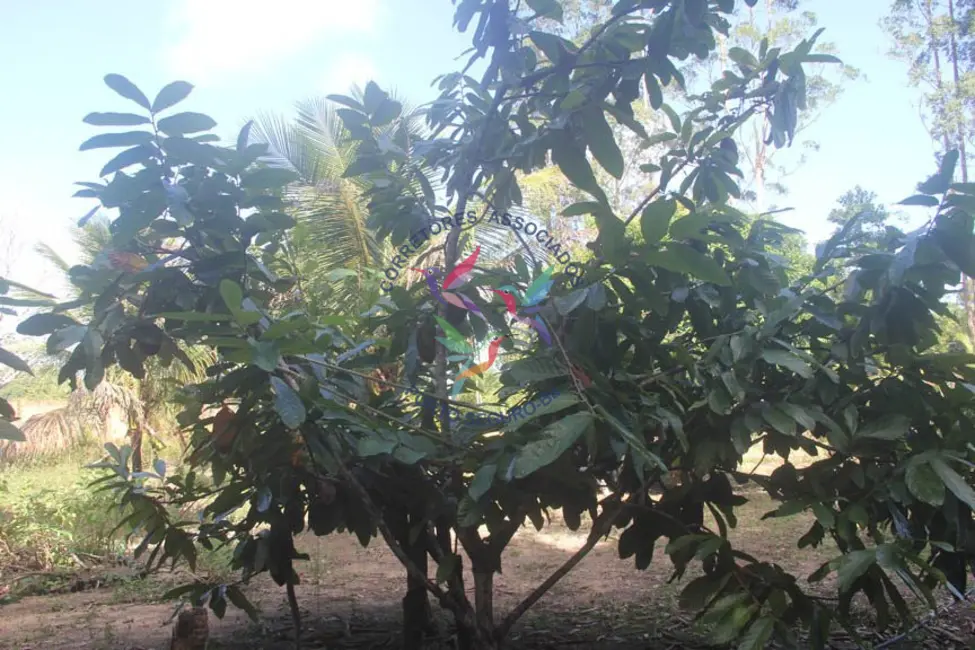 Foto 6 de Terreno / Lote à venda, 8032m2 em Porto Seguro - BA