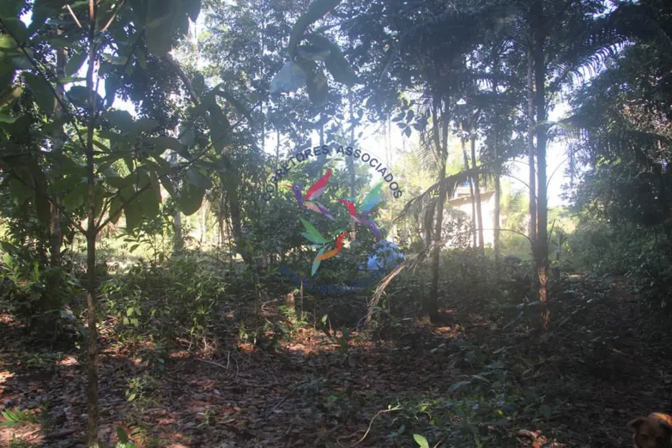 Foto 5 de Terreno / Lote à venda, 8032m2 em Porto Seguro - BA