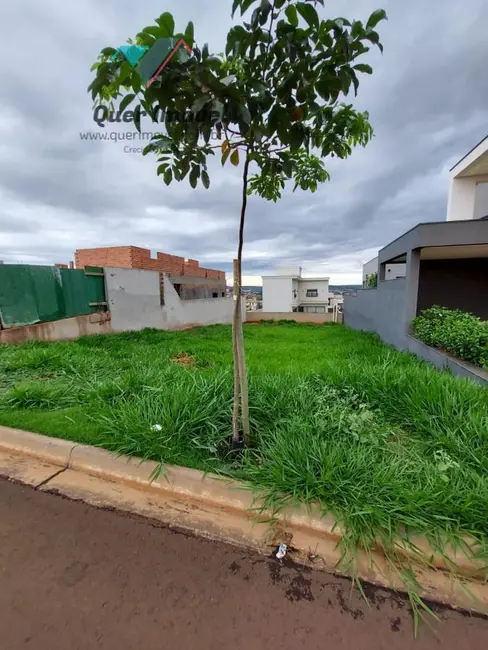 Foto 6 de Terreno / Lote à venda, 336m2 em Vila do Golf, Ribeirao Preto - SP