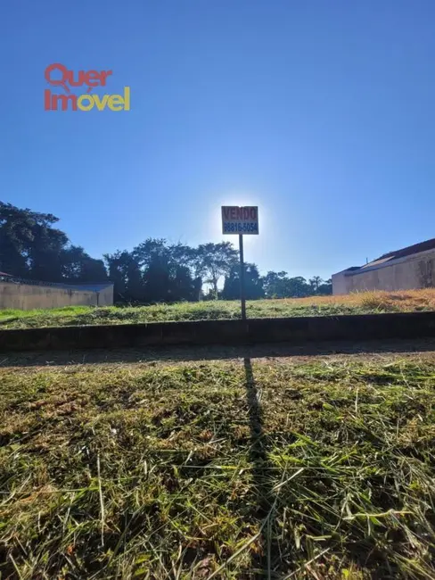 Foto 6 de Terreno / Lote à venda, 280m2 em Jardim Ouro Branco, Ribeirao Preto - SP