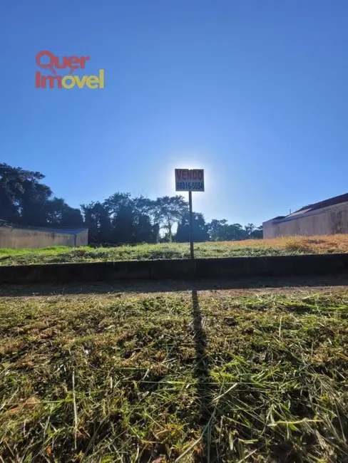 Foto 4 de Terreno / Lote à venda, 280m2 em Jardim Ouro Branco, Ribeirao Preto - SP