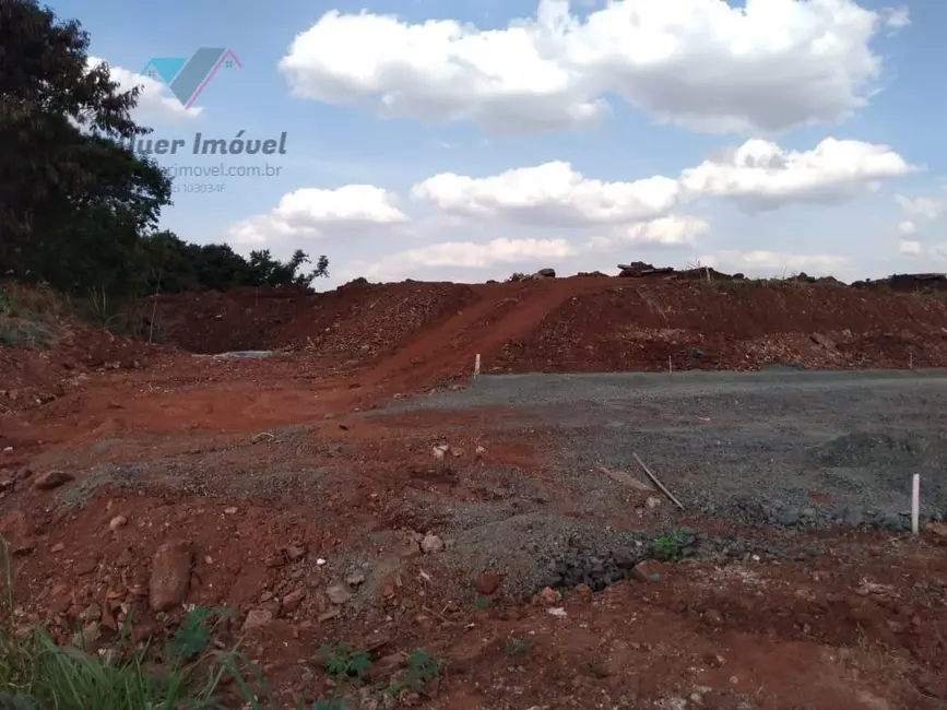 Foto 2 de Terreno / Lote à venda, 11000m2 em Ipiranga, Ribeirao Preto - SP