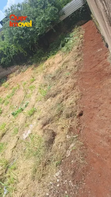 Terreno / Lote à venda, 1680m2 em Centro, Cravinhos - SP - imagem 5 Foto 5 de Terreno / Lote à venda, 1680m2 em Centro, Cravinhos - SP