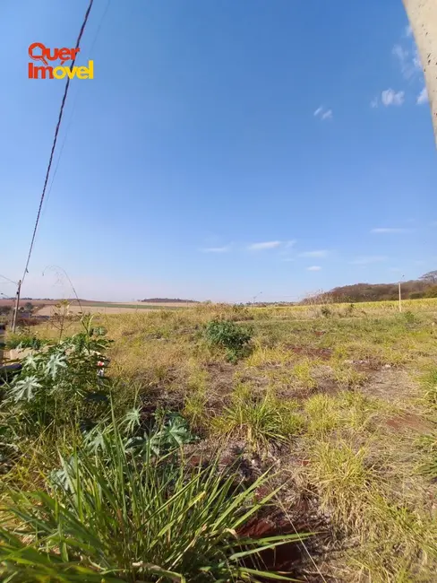 Terreno / Lote à venda, 256m2 em Ribeirao Preto - SP - imagem 5 Foto 5 de Terreno / Lote à venda, 256m2 em Ribeirao Preto - SP