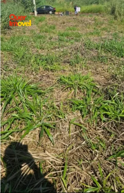 Foto 2 de Terreno / Lote à venda, 238m2 em Ribeirao Preto - SP