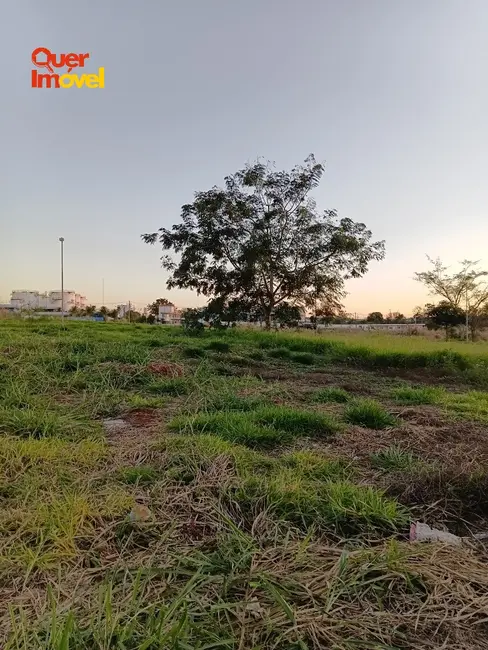 Terreno / Lote à venda, 499m2 em Ribeirao Preto - SP - imagem 7 Foto 7 de Terreno / Lote à venda, 499m2 em Ribeirao Preto - SP